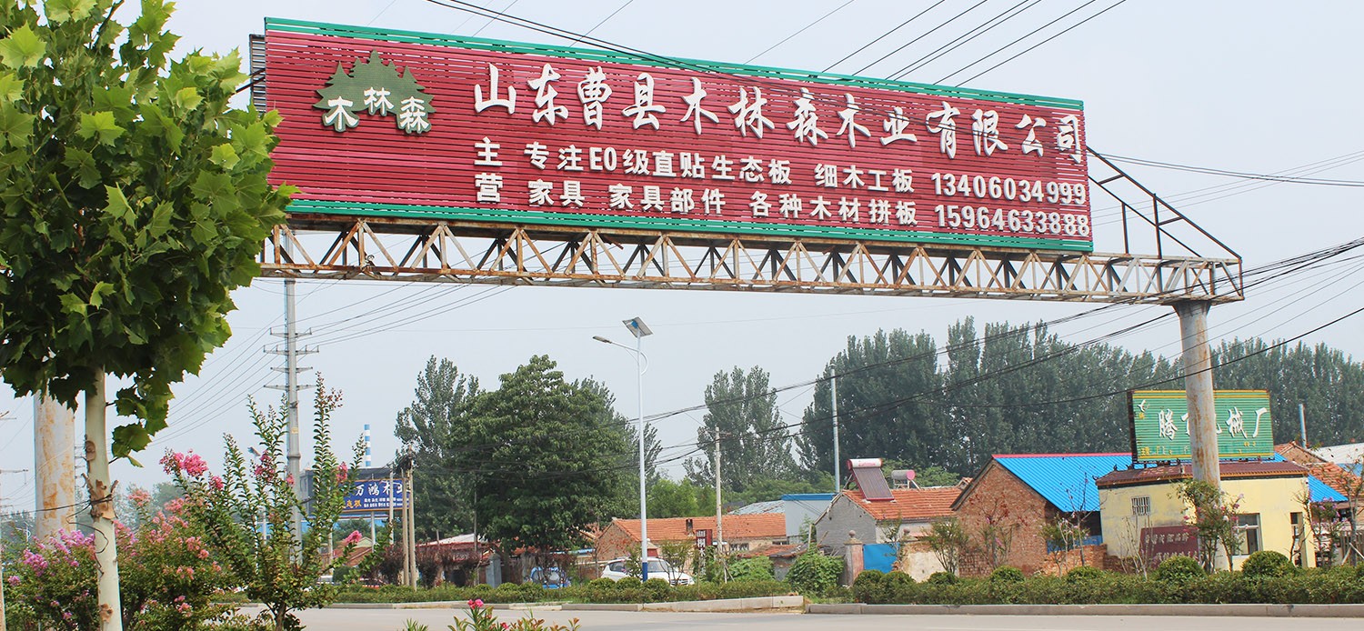 汇赢国际
